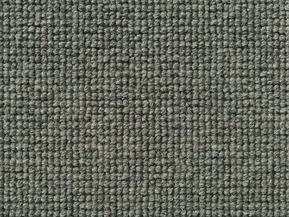 sample of Argos