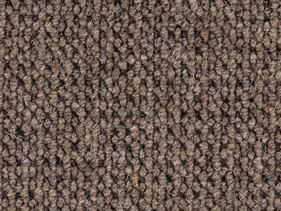 sample of Bern
