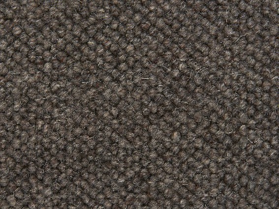 sample of Lhasa