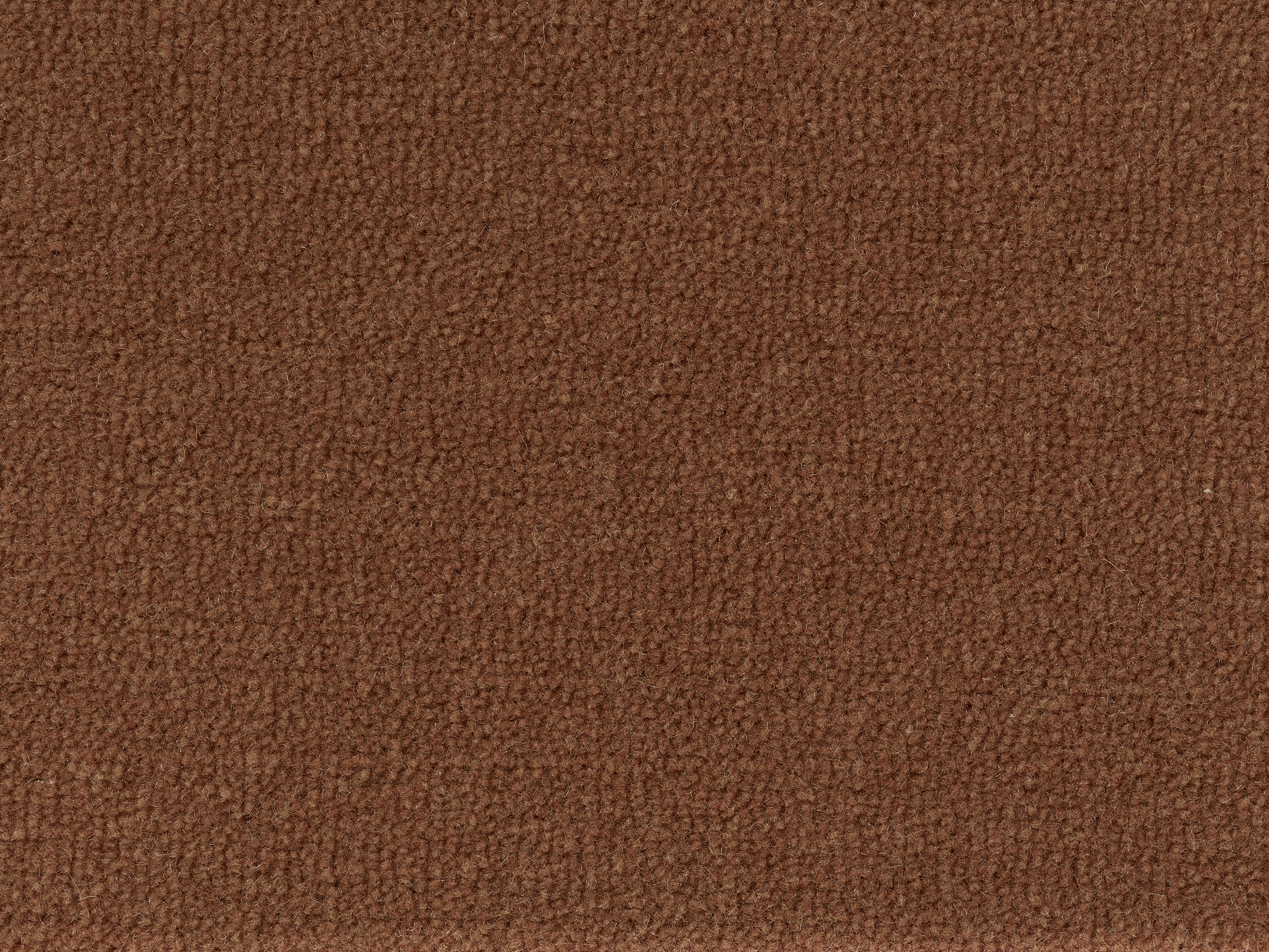sample of Essence