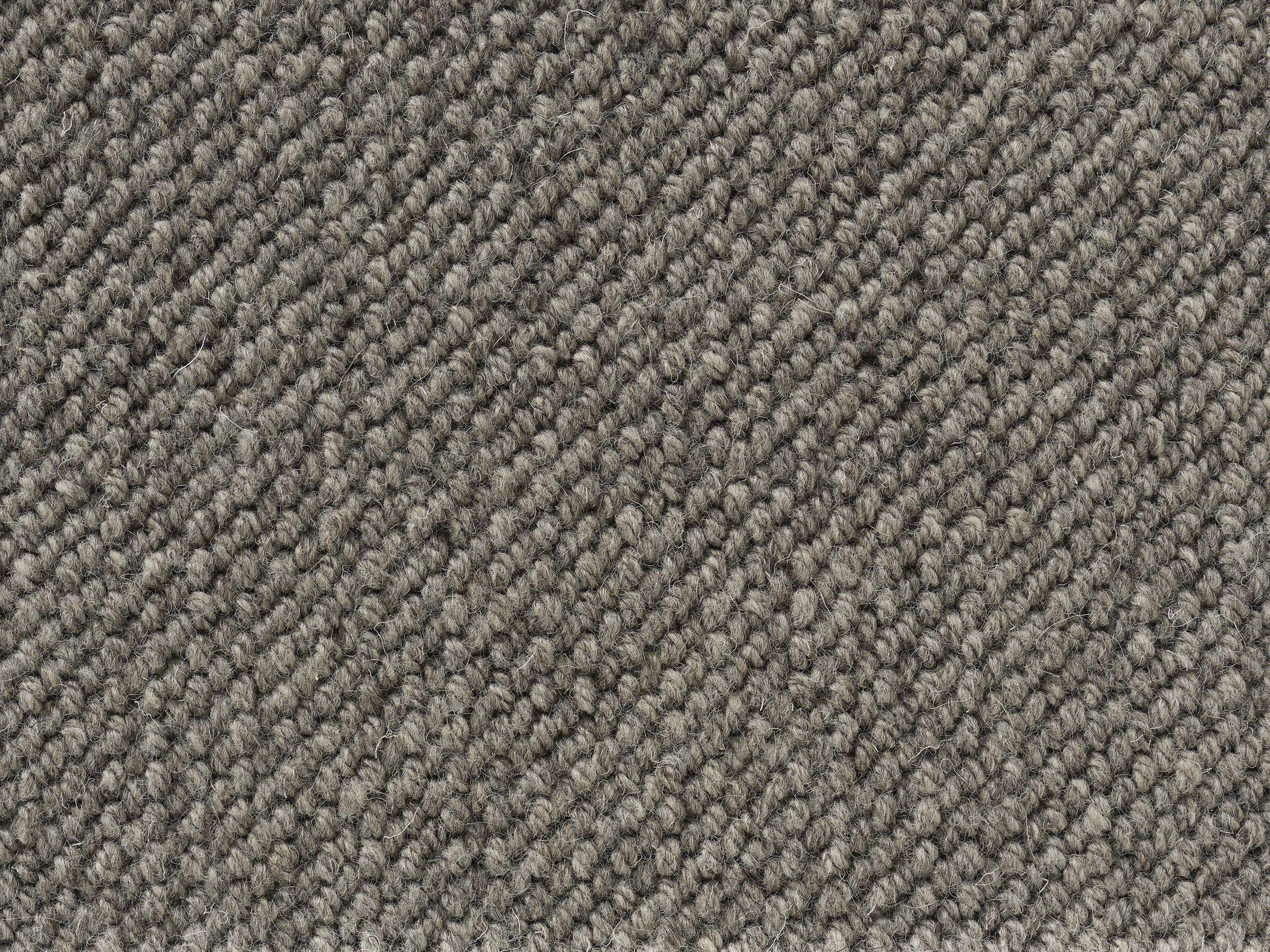 sample of Lucid