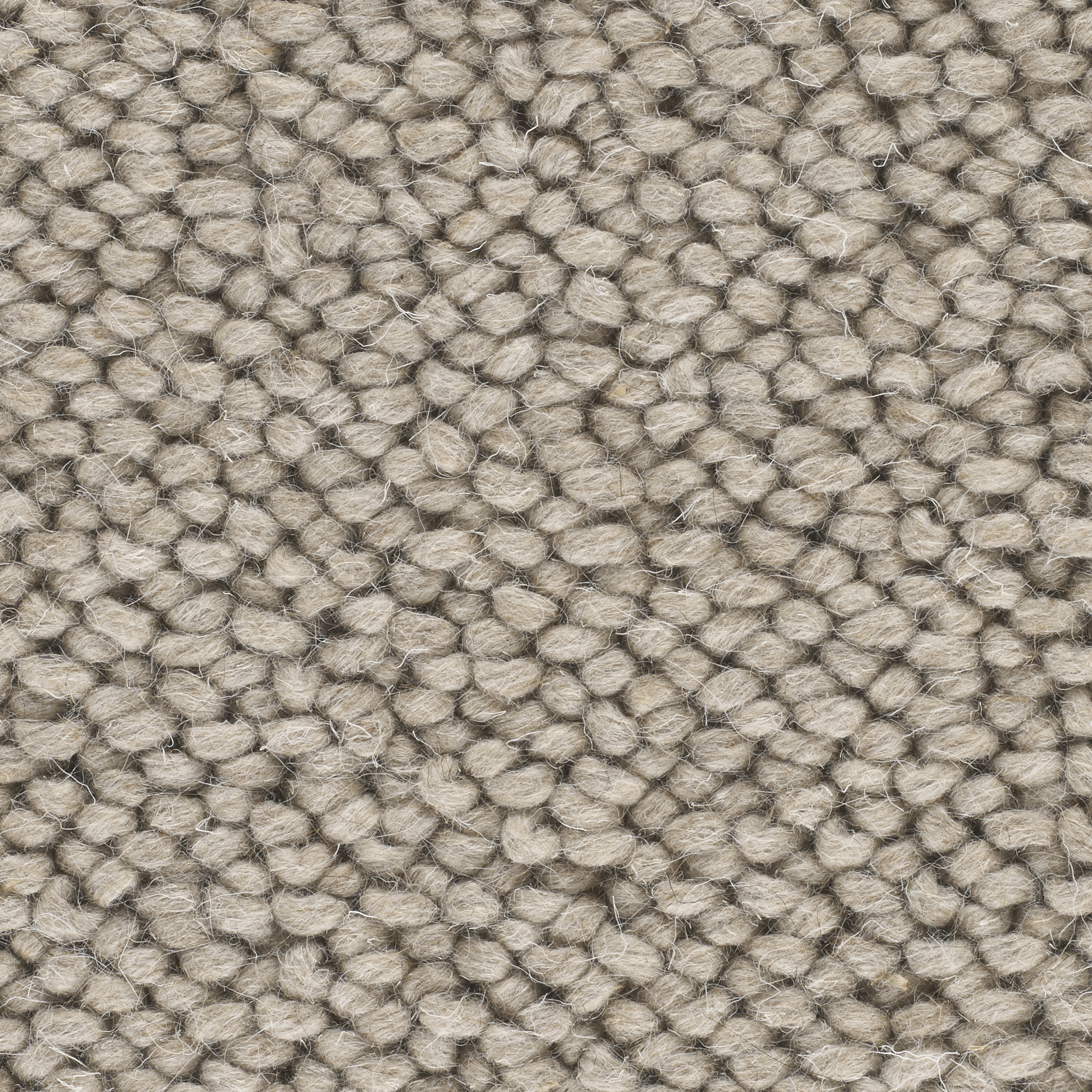sample of Luminary