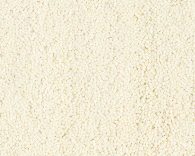 sample of Feather